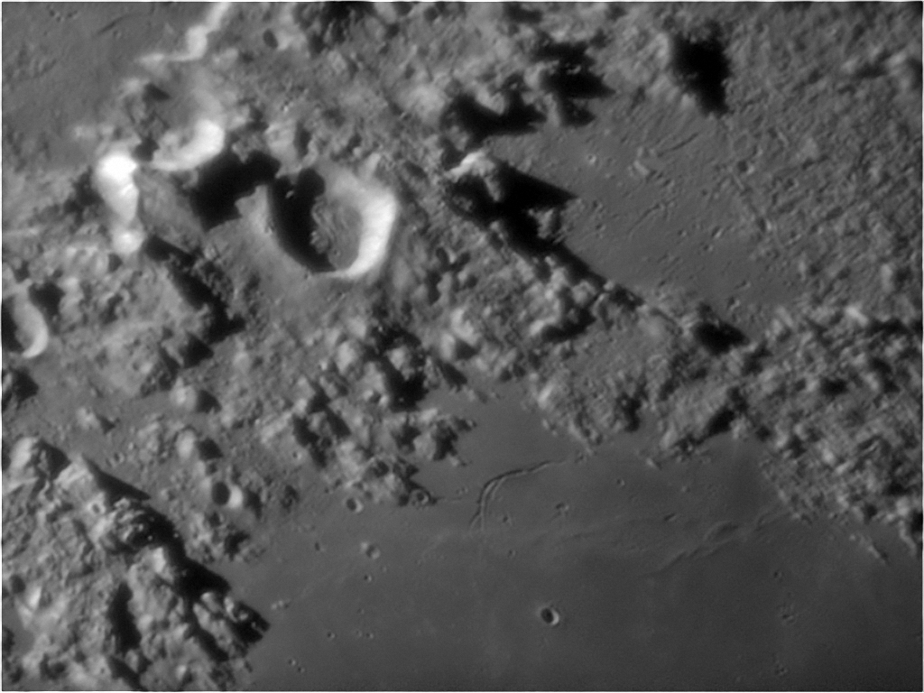 Rima Calippus.jpg